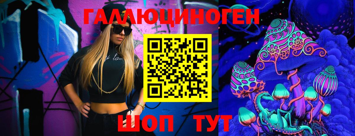 Галлюциногенные грибы Psilocybe Майкоп