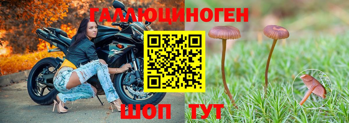 Майкоп  Галлюциногенные грибы прущие грибы  Псилоцибиновые грибы прущие грибы  Вход с VPN 